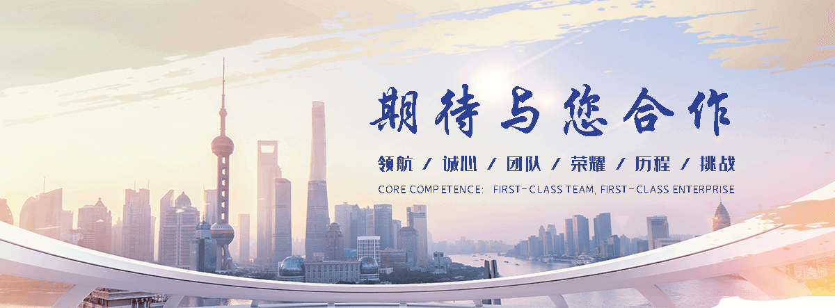 龙岩海狮租赁公司